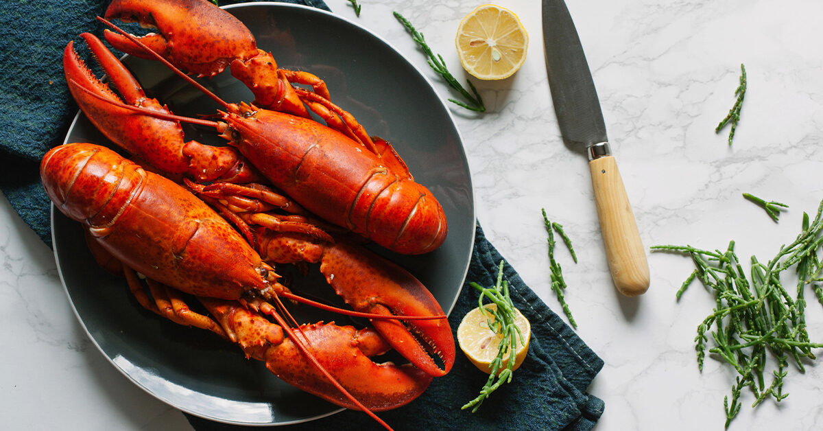 Interesting Health Benefits of Eating Lobsters